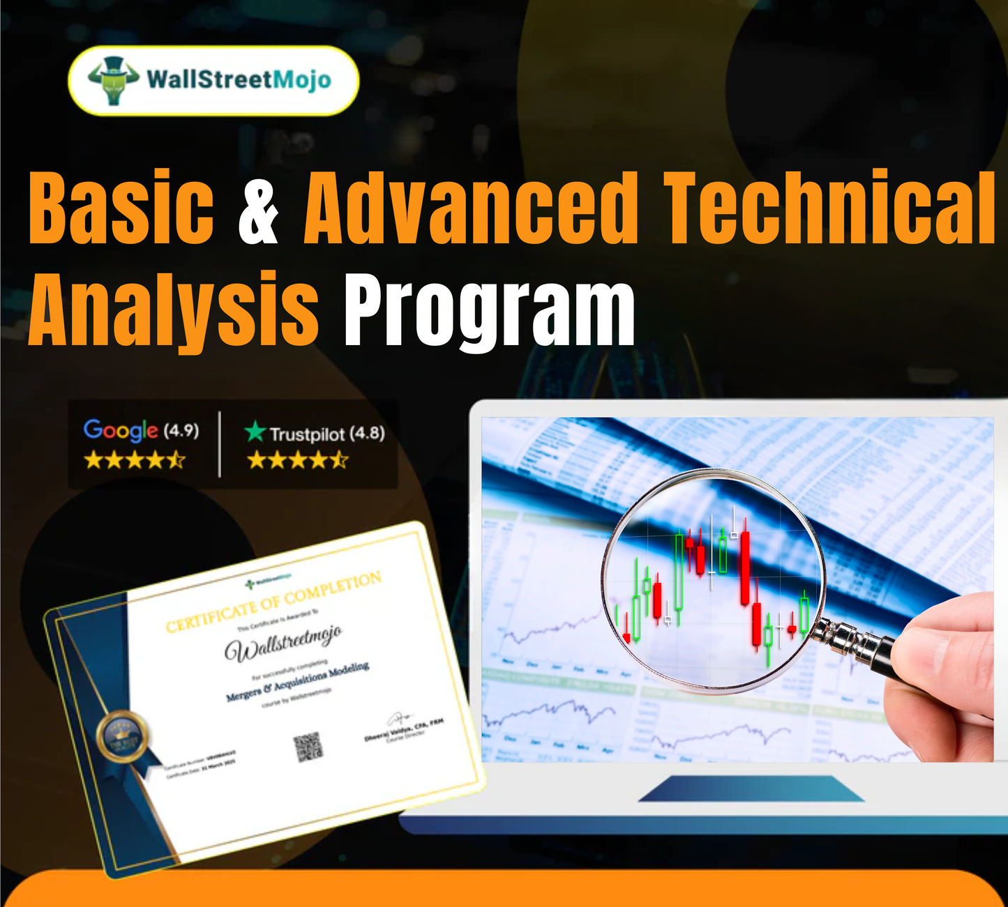 Basic and Advanced Technical Analysis Program